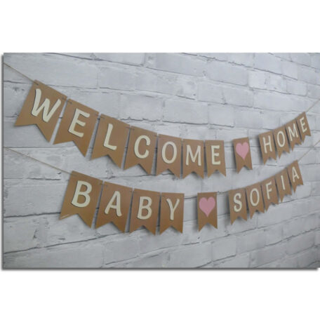 welcome home baby bunting